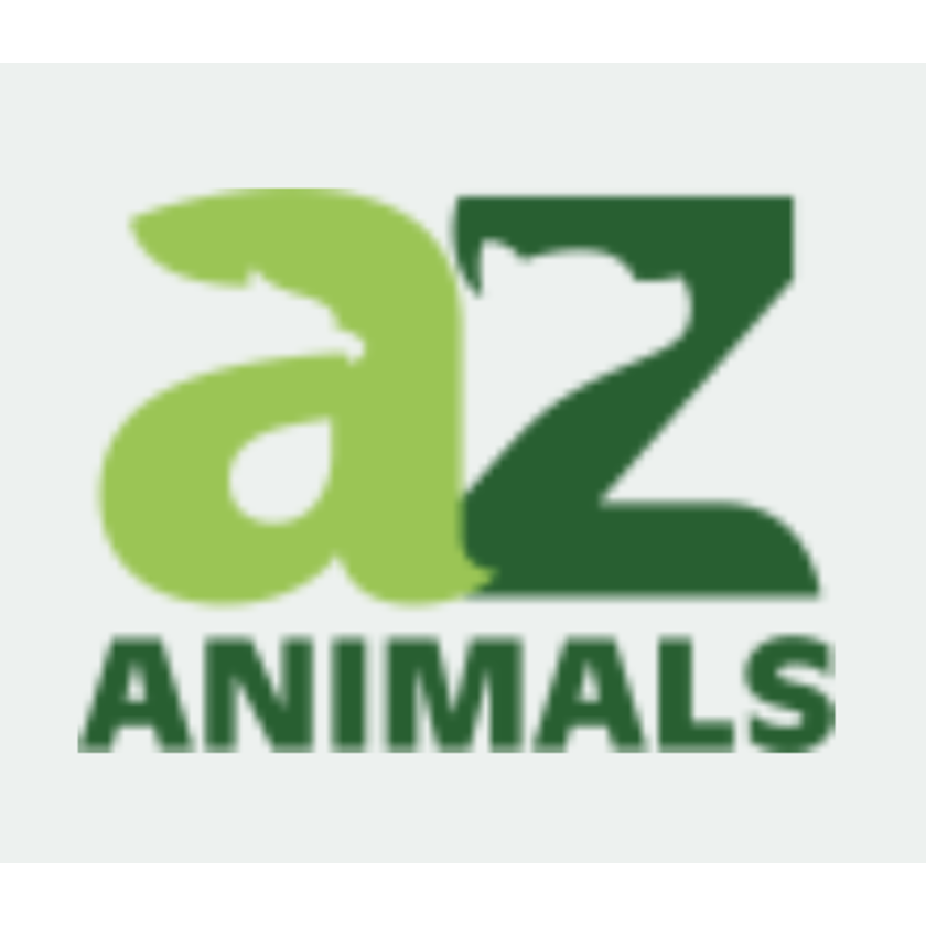 a-z-animals-sponsored-newsletter-advertising-paved