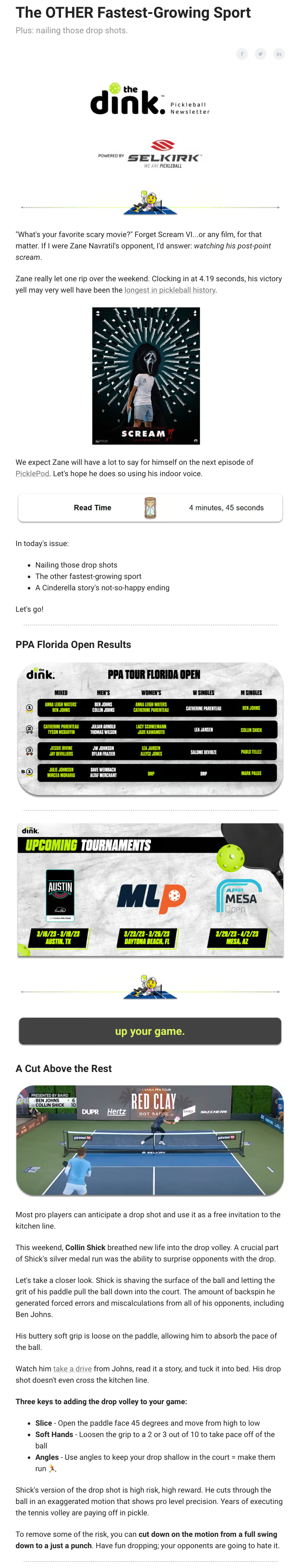 The Dink Pickleball Newsletter Sponsored Email Advertising Paved